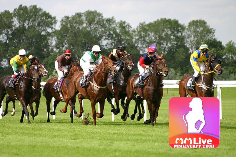 Game đua ngựa xuất phát từ thể thao môn đua ngựa 