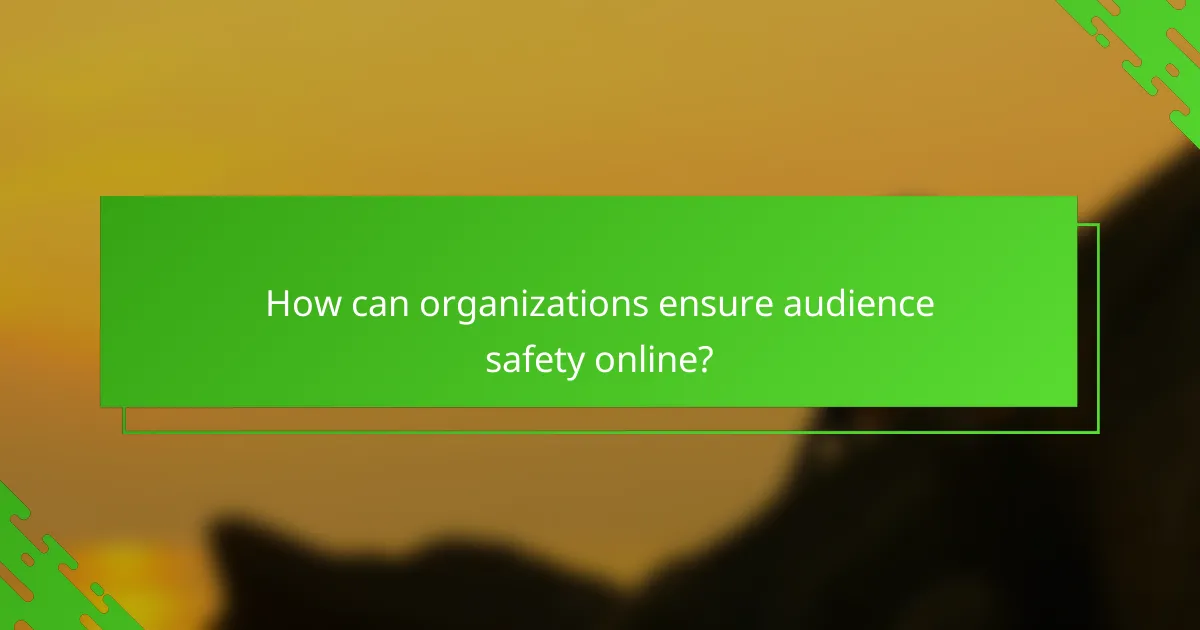How can organizations ensure audience safety online?